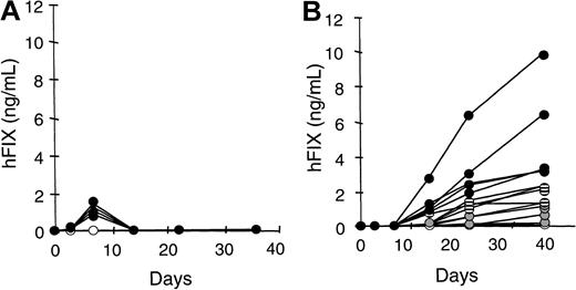 Fig. 2. Immune response limits hFIX expression following IM administration of AAV-hFIX. / Increasing doses, 1.2 × 1010 vp (gray circles), 6 × 1010 vp (stippled circles), and 3 × 1011 vp (solid circles) of AAV-hFIX, were administered to Balb/c (left panel) and NIH-3 (right panel) mice by direct administration into the quadriceps muscle. Sera were harvested from the animals at various time points following vector administration and analyzed for the presence of hFIX.