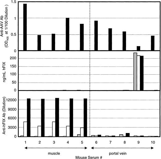 Fig. 3. Anti-AAV immunity limits hFIX expression. / C57Bl/6 mice were preimmunized to AAV by administering 5 × 1010 vp of AAV-lacZ by tail vein. Levels of anti-AAV antibodies were tested 1 month following vector administration (top panel). Then, 4 × 1011 vp of AAV-hFIX was administered to AAV-immune mice into the portal vein by way of a cannula or by direct administration into the quadriceps muscle. Sera were harvested from the animals 11 (gray bars), 25 (white bars), and 42 (black bars) days after AAV-hFIX administration and analyzed for the presence of hFIX (middle panels) and anti-hFIX antibodies (bottom panels).