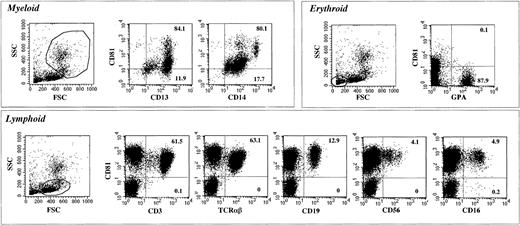 Fig. 1. Flow cytometric profiles of expression of CD81 and lineage-specific surface markers on CB cells. / CB cells were stained with CD81 and various lineage-specific markers. Gates for different lineages were determined by their forward scatter (FSC) and side scatter (SSC) distributions. Cells gated for specific lineages are shown in the profiles. The numbers in each graph are the percentages of expression in a quadrant area.