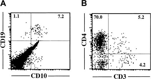 Fig. 4. B- and T-lineage potentials of CD34+CD81+ cells. / (A) Flow cytometric profile shows expression of CD19 and CD10 on lymphocyte-gated cells derived from 3 × 103CD34+CD81+ cells cocultured with MS-5 cells for 4 weeks. (B) Flow cytometric profile shows expression of CD3 and CD4 on lymphocyte-gated cells derived from 5 × 103CD34+CD81+ cells recovered in FTOC for 4 weeks.