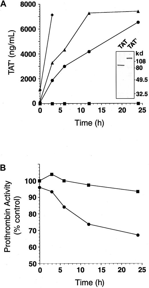 Fig. 2. Mixing patient plasma with normal plasma generates TAT′ complex and impairs residual prothrombin activity. / (A) Mixtures of patient plasma (0%, ▪; 5%, ●; 10%, ▴; 50% final, ♦) and normal plasma were incubated at 37°C for 0 to 24 hours. The amount of TAT′ complex generated in each sample was measured by ELISA for normal TAT. (inset) TAT complex and TAT′ complex isolated from patient plasma were subjected to SDS-PAGE (10% separating gels under reducing conditions). (B) Patient plasma (0%, ▪; 5% final, ●) was mixed with normal plasma and incubated at 37°C for 0 to 24 hours. Residual prothrombin activity in each sample was measured.