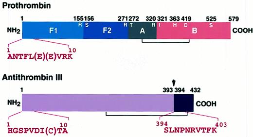 Fig. 4. Amino-terminal sequence analyses of the complex. / Prothrombin (1 μM) was incubated with 750 μg/mL patient IgG in the presence of 5 μM antithrombin III at 37°C for 12 hours. The mixture was applied to immobilized JITAT-17 monoclonal antibody, and the eluate was separated by 10% SDS-PAGE. The gel was electroblotted onto a polyvinylidene difluoride membrane and stained, and appropriate bands were sequenced directly with an ABI Model 476A protein sequencer. The thrombin cleavage site (155R-156S), the factor Xa cleavage sites (271R-272T and320R-321I), and the catalytic triad (363H, 419D, and 525S) of prothrombin are shown. Arrow shows the reactive center of antithrombin III (39 3R-394S).