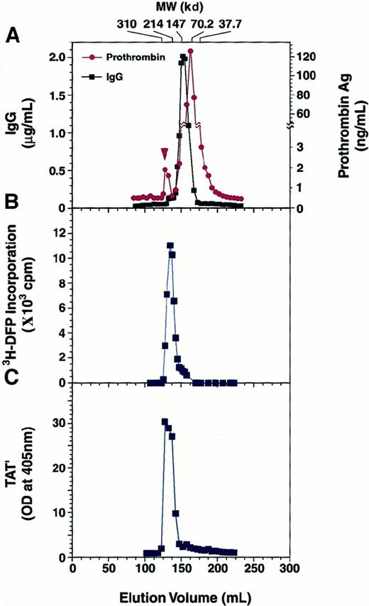 Fig. 6. Gel filtration profile of a prothrombin and patient IgG mixture. / Prothrombin (1 μM) was incubated with 750 μg/mL patient IgG at 4°C for 2 hours. This was followed by the addition of3H-DFP and a further incubation at 25°C for 2 hours. The sample was separated on a Sephacryl S-200HR gel filtration column, and the IgG and prothrombin concentrations of each fraction were measured (A). Arrowhead shows the prothrombin complexed with IgG. Radioactivity in the fractions was determined by counting in a liquid scintillation counter (B). In the absence of DFP treatment, a prothrombin (1 μM) and IgG (750 μg/mL) mixture was applied to the column at 4°C, and each fraction was separately incubated with 5 μM antithrombin III at 37°C for 3 hours. The generation of TAT′ complex was analyzed by ELISA (C).