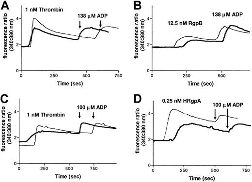Fig. 4. Partial inhibition of gingipain-induced calcium changes in platelets by an anti–PAR-1 antibody. / Calcium mobilization in platelets induced by RgpB or HRgpA in the presence of rabbit anti–PAR-1 antibody (bold line) or a control rabbit antibody (thin line). Platelets from one donor were incubated with the antibodies (30 μg/mL) for 15 minutes, before treatment with (A) 1 nM thrombin or (B) 12.5 nM RgpB, both followed by treatment with 138 μM ADP. Platelets from another donor were incubated with the antibodies (60 μg/mL) for 15 minutes, and then treated with (C) 1 nM thrombin or (D) 0.25 nM HRgpA, both followed by treatment with 100 μM ADP. These data are representative of 3 experiments.