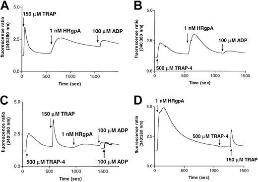Fig. 5. Desensitization of responses to HRgpA by prior treatment of platelets with PAR-1 and PAR-4 agonist peptides. / Calcium responses to 1 nM HRgpA and 100 μM ADP following treatment with: (A) 150 μM TRAP; (B) 500 μM TRAP-4; or (C) 500 μM TRAP-4 and 150 μM TRAP. The ADP treatment was used in each case to demonstrate that prior treatments had not significantly depleted calcium stores, so that essentially normal responses could be obtained with a noninteracting agonist. In panel C, the response to ADP prior to any additions to platelets is shown as a bold line for comparison. Pretreatment with HRgpA also desensitized responses to TRAP-4 and TRAP (D).