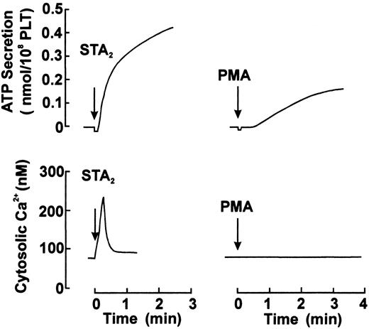 Fig. 2. ATP secretion and cytosolic Ca++ elevation in response to STA2 and PMA. / ATP secretion and cytosolic Ca++ levels induced by STA2 (0.5 μM) or PMA (100 nM) were measured in parallel in the same preparation of fura 2-loaded platelets suspended in Ca++-free HEPES–saline buffer, under conditions of nonstirring. Shown are representative traces from 4 independent experiments. PLT indicates platelets.