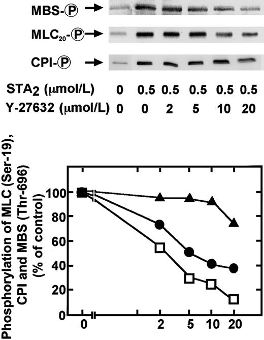 Fig. 7. Inhibitory effects by a Rho-kinase inhibitor Y-27632 on STA2-induced phosphorylation of MBS at Thr-696, CPI, and MLC20 phosphorylation at Ser-19 in intact platelets. / Human platelets pretreated with various concentrations of Y-27632 for 2 minutes were stimulated with 0.5 μM STA2 for 30 seconds at 37°C under conditions of nonstirring, and whole platelet lysates originating from 30 μL of platelet suspension were resolved by SDS-PAGE. This was followed by immunoblotting with anti–pThr695-MBS, anti–pThr38–CPI-17, and anti–pSer19-MLC20antibodies. Inhibitory effects by Y-27632 on STA2-induced phosphorylation of CPI (▴), MBS at Thr-696 (■), and MLC20 at Ser-19 (●) were expressed as a percentage of the phosphorylation level found in STA2-stimulated platelets. Values represent the average of 3 experiments (SD < 10%).