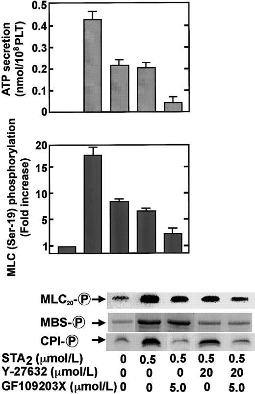 Fig. 8. Inhibition by Y-27632, GF109203X, or both of STA2-induced ATP secretion and phosphorylation of MLC20 at Ser-19, MBS at Thr-696, and CPI in intact platelets. / Human platelets pretreated without or with 20 μM Y-27632, 5 μM GF109203X, or both for 3 minutes were stimulated with 0.5 μM STA2 under conditions of nonstirring. Incubation was carried out for 30 seconds at 37°C to measure protein phosphorylation and for 2 minutes at 37°C to measure ATP release. Whole platelet lysates originating from 30 μL of platelet suspension were resolved by SDS-PAGE. This was followed by immunoblotting with anti–pThr695-MBS, anti–pThr38–CPI-17, and anti–pSer19-MLC20 antibodies. MLC20phosphorylation at Ser-19 was expressed as fold increase in the basal value, without the addition of inhibitors. Similar results were obtained in 3 other experiments using different donor platelets.