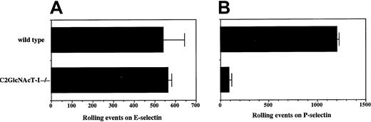 Fig. 2. Rolling of neutrophils from C2GlcNAcT-I−/−and WT mice on E-selectin and P-selectin. / Rolling of purified (80% Gr-1+) bone marrow neutrophils on CHO cells expressing either E-selectin (A) or P-selectin (B) at 1.5 dynes/cm2 was analyzed as described above. Data are presented as mean ± SD of total rolling events. One of 8 experiments.