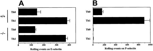 Fig. 3. Rolling of activated T cells from C2GlcNAcT-I−/− and WT mice on E-selectin and P-selectin. / CD4 cells were purified and activated in the presence (Th1) or absence (Th0) of IL-12 plus anti–IL-4 as described in “Materials and methods,” and analyzed for rolling on (A) CHO/E-selectin or (B) CHO/P-selectin as described above. Data are presented as mean ± SD of total rolling events. One of 7 experiments.