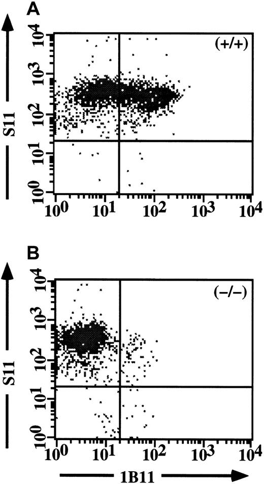 Fig. 4. Expression of the 1B11 epitope in CD4 cells requires C2GlcNAcT-I. / Staining of CD43 (S11) versus 1B11 for WT Th1 cells (A) and C2GlcNAcT-I−/− Th1 cells (B). 1B11 staining is abrogated in Th1 cells from the C2GlcNAcT-I−/− mice, but identifies a discrete subset of Th1 cells from WT mice.