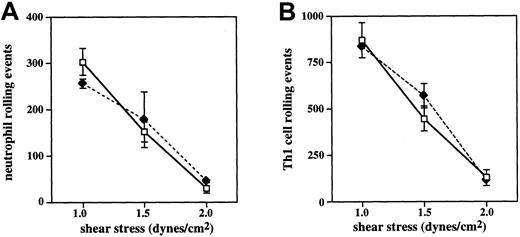 Fig. 6. Shear dependence of attachment and rolling on E-selectin. / Neutrophils (A) and Th1 cells (B) from WT (open symbols) and C2GlcNAcT-I−/− (closed symbols) mice were analyzed as above for rolling across a range of shear values. For both cell types, no difference was detected between WT and C2GlcNAcT-I−/−cells up to 2 dynes/cm.2