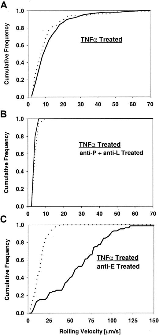 Fig. 6. Leukocyte rolling velocities in TNFα-treated mice. / Cumulative velocity distribution for core 2−/− mice (solid line) and control mice (dotted line) with no treatment (A), P-selectin–blocking mAb RB40.34 and L-selectin–blocking mAb MEL14 (B), and E-selectin–blocking mAb 9A9 (C). Significant velocity differences (P < .05) between control and core 2−/− mice were detected when E-selectin was blocked (C). Rolling flux fraction for controls was 21%, 13%, and 58% for panels A, B, and C, respectively, and for core 2−/− mice, 8%, 2%, and 3%.