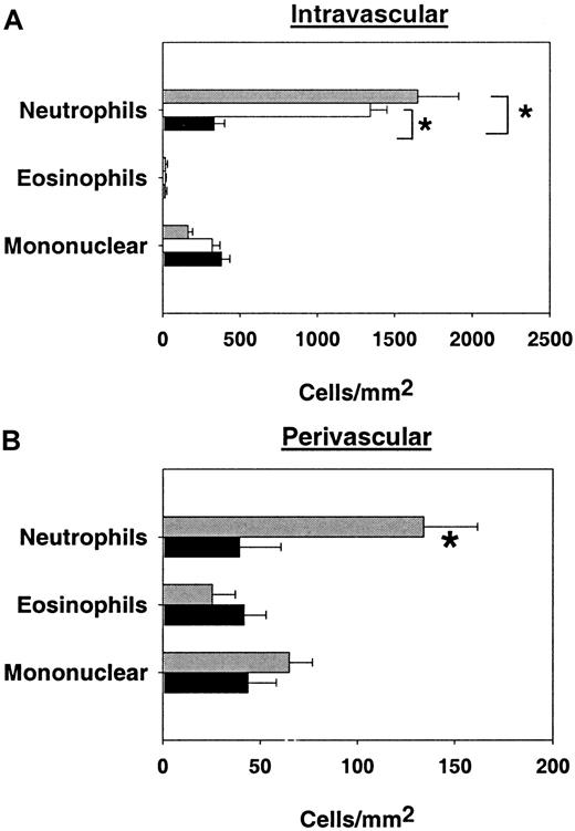 Fig. 7. Adherent and rolling leukocytes per square millimeter of venular surface area and perivascular space. / (A) Number of adherent and rolling leukocytes per square millimeter of venular surface area (mean ± SEM). Data are presented for control mice (░), control mice treated with mAbs against P- (anti-P) and L-selectin (anti-L) (■) and core 2−/− mice (▪). * indicates significant differences (P < .05). (B) Number of adherent and rolling leukocytes per square millimeter of perivascular space (mean ± SEM). Data are presented for control mice (░) and core 2−/− mice (▪). * indicates significant differences from control (P < .05).