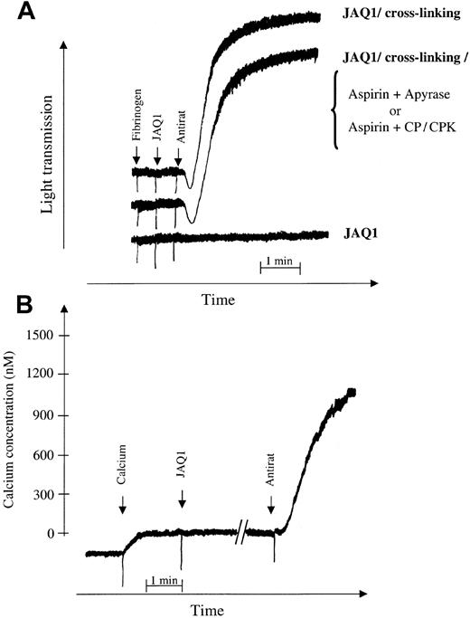 Fig. 1. Cross-linking of JAQ1 induces full platelet aggregation and intracellular calcium mobilization. / Washed platelets were incubated with JAQ1 (10 μg/mL) alone or JAQ1 followed by polyclonal antirat IgG antibodies (10 μg/mL). (A) JAQ1 alone does not induce aggregation, whereas cross-linking of surface-bound JAQ1 induces strong aggregation that is insensitive to aspirin treatment (1 mM, 15 minutes, 37°C), apyrase (2 U/mL), or CP/CPK (10 mM/20 U/mL). The trace shown was obtained in the presence of aspirin and apyrase. Traces obtained in the presence of aspirin and CP/CPK were similar. (B) JAQ1 only induces intracellular calcium mobilization on cross-linking.