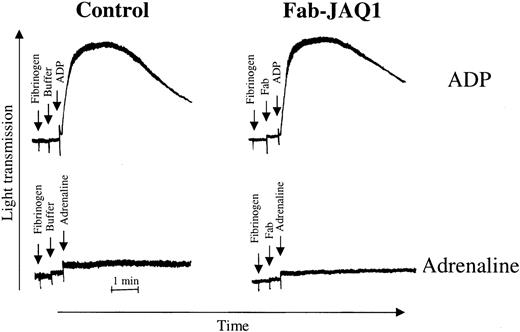 Fig. 6. Monovalent Fab fragments of JAQ1 have no potentiating effect. / Washed wild-type platelets were activated with ADP (5 μM) or adrenaline (10 μM) in the presence or absence of JAQ1 Fab fragments (10 μg/mL).