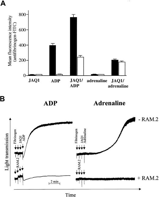 Fig. 7. The combination of JAQ1 and adrenaline or ADP induces αIIbβ3 activation. / (A) Flow cytometric quantitation of fibrinogen binding to wild-type (▪) and Gαq-deficient (■) platelets stimulated with ADP (5 μM) or adrenaline (10 μM) in the presence or absence of JAQ1 (10 μg/mL). (B) Washed wild-type platelets were incubated with JAQ1 (10 μg/mL) and then activated with ADP (5 μM) or adrenaline (10 μM) in the absence or presence of the blocking antimouse αIIbβ3 mAb RAM.2 (1/10 dilution of ascites fluid).