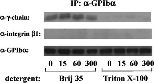 Fig. 4. FcR γ-chain is associated with GPIb. / After stimulation with 6 μg/mL botrocetin plus 10 μg/mL vWF for the indicated time periods, human platelets were solubilized with an equal volume of lysis buffer containing 2% Brij 35 (vol/vol) or 2% Triton X-100 (vol/vol). GPIb was immunoprecipitated with WGA3, an anti-GPIb MoAb. Precipitated proteins were separated by SDS-PAGE and were analyzed by anti-FcR γ-chain, anti-integrin β1, and anti-GPIb immunoblotting, respectively. The data are representative of 4 experiments. The numbers below the panels show time in seconds.