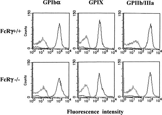 Fig. 10. Comparable platelet GPIb-IX expression between FcR γ-chain–deficient and wild-type mice. / Platelets from wild-type (upper panels) or FcR γ-chain–deficient (lower panels) mice were stained with phycoerythrin-labeled p0p4 (α-mouse GPIbα), fluorescein isothiocyanate–labeled p0p6 (α-mouse GPIX), or phycoerythrin-labeled JON1 (α-mouse GPIIb/IIIa), respectively. The fluorescence was analyzed by flow cytometry (solid lines). Gray lines represent the control, the fluorescence of rat α-mouse Ab. The results shown are representative of 4 experiments.
