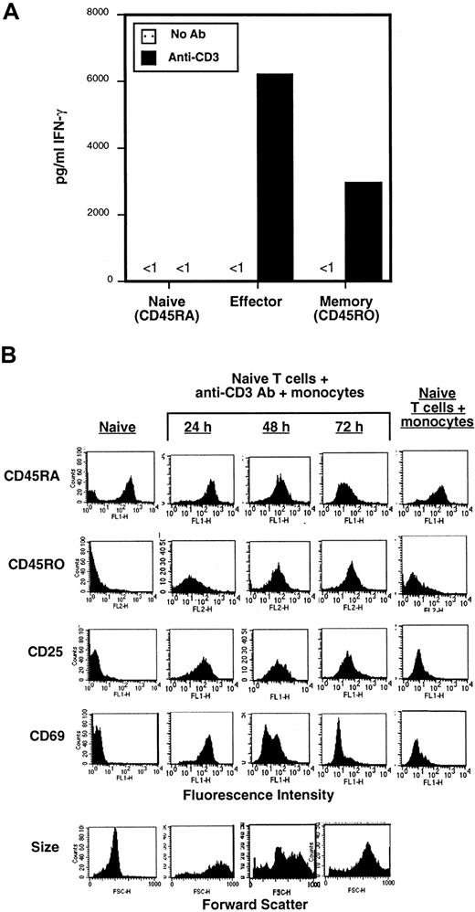 Fig. 1. In vitro–generated effector CD4 T cells exhibit effector function and an activated/effector phenotype. / Naive (CD45RA) and memory (CD45RO) subsets of CD4 T cells were purified by a 2-step immunomagnetic depletion (see “Materials and methods”). Effector CD4 T cells were generated by coculture of naive CD4 T cells with 2 μg/mL anti-CD3 antibody (OKT3) and twice the number of primary autologous monocytes for 3 days. (A) Functional analysis of naive, effector, and memory CD4 T cells. Freshly isolated ex vivo naive and memory CD4 T cells and in vitro–generated effector CD4 T cells purified by centrifugation through Ficoll and washing, were cultured alone or in wells to which anti-CD3 antibody was immobilized. After 24 hours, culture supernatants were collected and assayed for IFN-γ content by specific ELISA. These data are representative of 3 separate experiments. (B) Phenotypic analysis of effector CD4 T-cell differentiation. The expression of activation/differentiation markers on purified naive (CD45RA) CD4 T cells, naive cells activated for 24 to 72 hours with anti-CD3 and autologous monocytes to generate effectors, and naive cells incubated for 72 hours with monocytes alone as a control was assessed by specific staining with fluorescent-conjugated antibodies and analyzed by FACS. Forward scatter is shown at the bottom. These data from a single donor are representative of 3 separate experiments using T cells derived from 3 different donors.