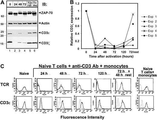 Fig. 5. Kinetics of CD3 and TCR down-regulation during effector CD4 T cell differentiation. / CD4 T cells were cultured with anti-CD3/monocytes, harvested 24 to 120 hours, and either lysed for immunoblotting or stained and analyzed by FACS. (A) Kinetics of differentiation-induced CD3ζ and CD3ε down-regulation. Anti–ZAP-70, actin, CD3ε, and CD3ζ immunoblot of lysates derived from CD4 T cells before activation (lane 1), CD4 T cells harvested and purified 24 to 72 hours after culture with anti-CD3/monocytes (lanes 2-4, 24, 48, 72), 72 hours purified effector CD4 T cells rested in media alone for 2 days (lane 5, 72+rst), or purified CD4 T cells cultured with monocytes alone for 72 hours (lane 6, T+mc). Molecular weight markers are indicated at left. (B) Change in CD3ζ expression over time of activation. A compilation of the densitometric analysis of 5 separate kinetic experiments (Exp 1-5) performed as in panel A with purified T cells and monocytes from 5 different donors. Relative CD3ζ expression is defined as in Figure 4. In Exp 5 (shown in panel A), the 120-hour time point was not done. (C) TCR/CD3 and surface marker expression during effector differentiation. Histograms show surface expression of αβ TCR and CD3ε compared to control staining.