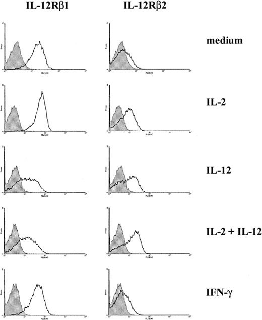 Fig. 1. Expression of IL-12Rβ1 and IL-12Rβ2 on activated T cells. / CD3-activated T cells were cultured with or without cytokines, as indicated. Cell surface expression of IL-12Rβ1 and IL-12Rβ2 was measured by flow cytometry. Representative histograms from 3 experiments are presented.