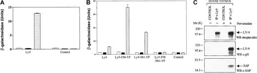 Fig. 2. SAP interacts with the phosphorylated cytoplasmic tail of Ly-9. / A human cDNA library made from poly A+ RNA of the human T-cell line KT3 in pGAD424 was screened with the altered yeast 2-hybrid system. Thus, 5 cDNA clones encoding the cytoplasmic tail of Ly-9 were isolated; an example is shown in panel A. To map the binding sites in the cytoplasmic tail of human Ly-9, 3 mutations of Ly-9 were analyzed in panel B. SAP binding to phospho-Ly-9 was shown in murine thymocytes in panel C. (A) Interactions of SAP and the cytoplasmic tail of Ly-9 in yeast are dependent on the presence of Fyn 420, 531 Y-F. The interaction of SAP with the cytoplasmic tail of Ly-9 in the presence or absence of Fyn 420, 531 Y-F took place in the yeast cell and was measured in a β-galactosidase assay. For each construct, at least 3 independent colonies were tested in the galactosidase assay. Open bars: cells transfected with empty pBRIDGE vector and pGAD424 encoding the cytoplasmic tail of Ly-9; solid bars: cells transfected with pBRIDGE-SAP and pGAD424 encoding the cytoplasmic tail of Ly-9; hatched bars: cells transfected with pBRIDGE-SAP and Fyn420, 531 Y-F and with pGAD424 encoding the cytoplasmic tail of Ly-9. Control, empty pGAD424 with pBRIDGE encoding the indicated DNA sequences. (B) SAP interacts with 2 phosphotyrosine motifs in the cytoplasmic tail of Ly-9. The interaction of SAP with 3 Ly-9 cytoplasmic tail mutations in the presence or absence of Fyn420, 531 Y-F took place in the yeast cell and was measured in a β-galactosidase assay. For each construct, at least 3 independent colonies were tested in the galactosidase assay. The cytoplasmic tail of Ly-9 was mutated in tyrosine residue 558 (558-YF), tyrosine 581 (581-YF), or in both tyrosine 558 and tyrosine 581 (558-581-YF). Open bars: cells transfected with empty pBRIDGE vector and pGAD424 encoding the cytoplasmic tail of Ly-9. Solid bars: cells transfected with pBRIDGE-SAP and pGAD424 encoding the cytoplasmic tail of Ly-9 or one of the Ly-9 mutants. Hatched bars: cells transfected with pBRIDGE-SAP and Fyn420, 531 Y-F and with pGAD424 encoding the cytoplasmic tail of Ly-9 or one of the Ly-9 mutants. CONTROL, empty pGAD424 with pBRIDGE encoding the indicated DNA sequences. (C) Association of SAP and Ly-9 in mouse thymocytes. Mouse thymocytes (50 × 106 cells/mL) were biotinylated and then incubated in the presence or absence of 1 mM pervanadate. Cells were lysed, and Ly-9 was immunoprecipitated with 1 μg antimouse Ly-9 monoclonal antibody (IP aLy9). Proteins were transferred to PVDF, and Western blot analysis (WB) identified specific proteins with streptavidin, antiphosphotyrosine (WB α-PY) and a rabbit antimouse SAP antibody (WB α-SAP). CONTROL, immunoprecipitation with a monoclonal hamster antibody.