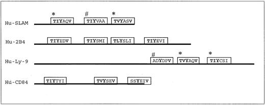 Fig. 4. Schematic representation of the cytoplasmic domains of 4 SLAM family members. / SAP has been shown to bind preferentially to a consensus binding motif: T (I/V)Y x x (V/I), where x represents any amino acid. The cytoplasmic domains of the SLAM family members SLAM, 2B4, Ly9, and CD84 contain multiple SAP-binding motifs. Lines indicate the cytoplasmic domain of the SLAM family members. Blocks represent real (*) or putative SAP-binding motifs. Blocks labeled with # are putative motifs proven to be unable to bind SAP, whereas those without marks have not been tested for SAP binding.