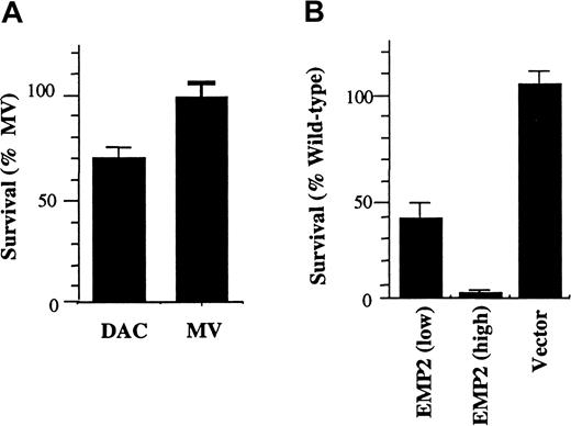 Fig. 4. EMP2 overexpression induces cell death on growth factor withdrawal. / (A) DAC or MV cells (3 × 105) were cultured in 0.5% FCS for 2 days, and viable cells were enumerated by trypan blue exclusion. MV cells had a 30% higher survival rate than DAC cells. (B) NIH3T3 cells (3 × 105) overexpressing EMP2 at various levels, or infected with empty vector, were plated overnight in 10% FCS, washed, and then incubated for 2 days in medium containing 0.5% FCS. Cells were harvested, and viable cells were enumerated using trypan blue exclusion. EMP2 expression inversely correlated with survival in fibroblasts.