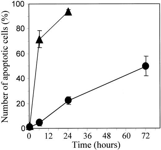 Fig. 1. TPA-mediated differentiation of U937 cells delays etoposide-induced apoptosis. / Undifferentiated (▴) and TPA-differentiated (●) U937 cells were treated with 50 μM etoposide for indicated times. Percentages of apoptotic cells were determined by fluorescent microscopy after Hoechst staining. Each value is the mean ± SD of triplicate determinations.