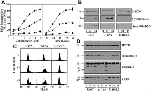 Fig. 6. TPA-induced differentiation sensitizes U937 cells to arsenic trioxide (As2O3)-induced differentiation. / (A) Undifferentiated (▴), TPA-differentiated (●), and Bcl-2 overexpressing U937 cells (▪, U-BCL2) were treated with increasing concentrations of As2O3 for 72 hours (left panel) or with 4 μM As2O3 for indicated times (right panel). Apoptotic DNA fragmentation was quantified with the use of a filter elution assay. Values from 1 of 2 independent experiments are shown (mean ± SD of triplicate samples). (B) Western blot analysis of cytochrome c and Smac/Diablo expression in cytosolic fractions from undifferentiated (U937) and TPA-differentiated (U-TPA) U937 cells and U937 cells overexpressing Bcl-2 (U-BCL2) treated with 4 μM As2O3 for indicated times. (C) Mitochondrial membrane depolarization was visualized by flow cytometry in U937, U-TPA, and U-BCL2 cells treated with 4 μM As2O3 for indicated times. Mitochondrial depolarization was identified by an increased level of cytosolic green monomer (FL1-H; dashed lines indicate the controls). (D) Western blot analysis of procaspase-3 and caspase-3 active fragments and PARP expression in whole-cell extracts from U937, U-TPA, and U-BCL2 cells treated with 4 μM As2O3 for indicated times. Numbers are molecular weights in kilodaltons. *Cleavage products. Loading was checked with the use of an antihuman HSC70 mAb.