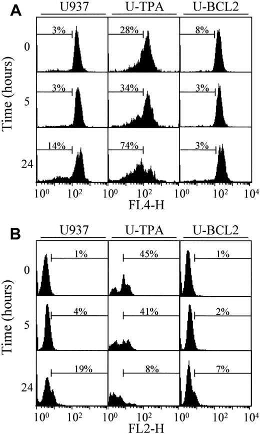 Fig. 7. Intracellular GST and ROS levels. / Analysis by flow cytometry of (A) intracellular GST and (B) ROS levels of undifferentiated (U937), TPA-differentiated (U-TPA), and Bcl-2 overexpressing (U-BCL2) U937 cells treated with 4 μM As2O3 for indicated times.