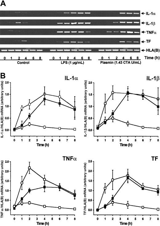Fig. 1. Plasmin stimulates time-dependent expression of IL-1α, IL-1β, TNF-α, and TF mRNA in human monocytes. / Monocytes (0.5 × 106/mL) were cultured in the presence of plasmin 1.43 CTA U/mL (▪) or LPS 1 μg/mL (○) or in the absence of any stimulus (■). At indicated times cells were harvested, and mRNA was extracted and subjected to RT-PCR. HLA(B) was used for normalization. (A) Representative gels are shown. (B) Semiquantitative analysis of the mRNA expression. Results are the mean ± SEM of 5 independent experiments.