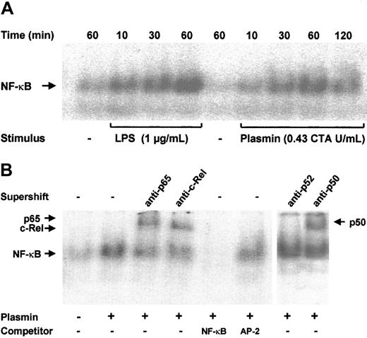 Fig. 7. NF-κB activation by plasmin. / (A) Kinetic study. Monocytes were stimulated with plasmin 0.43 CTA U/mL or LPS 1 μg/mL (positive control) for the times indicated. Cells were lysed, and nuclei were isolated. Nuclear extracts (5 μg) were subjected to EMSA with a 32P-labeled DNA probe containing the NF-κB binding site. (B) Supershift and competition study. Monocytes were stimulated with plasmin 0.43 CTA U/mL for 1 hour. Nuclear extracts were incubated for 1 hour with anti-p65, anti-c-Rel, anti-p50, and anti-p52 antibodies or with unlabeled NF-κB or AP-2 specific oligonucleotides (100-fold molar excess). Supershift assay revealed binding of p65, c-Rel, and p50, but not of p52 nuclear factor. Preincubation with NF-κB–specific oligonucleotide sequence abolished formation of the NF-κB complex. AP-2–specific oligonucleotides had no effect on the NF-κB/DNA complex formation. Results of 1 of 3 experiments are shown.