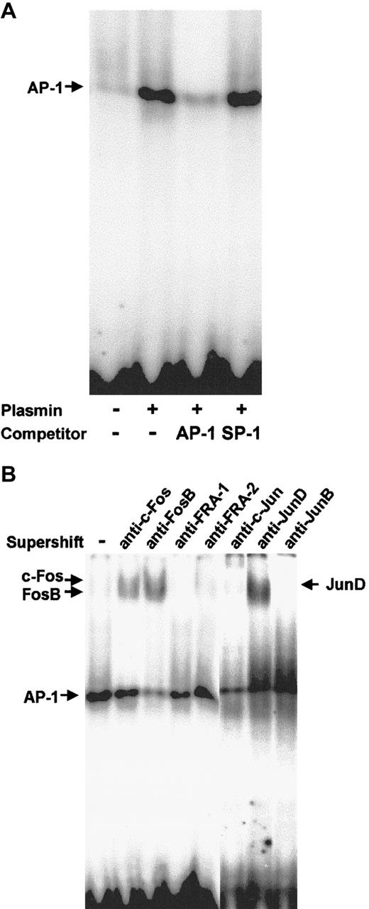 Fig. 10. AP-1 activation in plasmin-stimulated monocytes. / Binding to the AP-1 site was analyzed using EMSA. (A) Nuclear extracts (10 μg) from monocytes either unstimulated or stimulated for 2 hours with plasmin 0.43 CTA U/mL were incubated with the32P-labeled DNA probe containing the AP-1 binding site. In competition experiments the effects of specific (AP-1) and nonspecific (SP1) competitors at 100-fold molar excess were analyzed. (B) Composition of the AP-1 complexes was characterized by supershift analysis with antibodies against Jun and Fos proteins. Results of 1 of 3 experiments are shown.