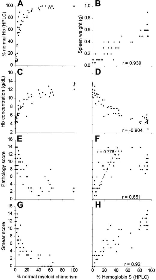 Fig. 2. Progressive normalization of hematologic and histologic parameters in chimeric mice with increased normal myeloid chimerism and decreased fractions of sickle Hb. / For percent normal myeloid chimerism, the percentage of normal myeloid chimerism, as measured by dual color flow cytometry of peripheral blood, is plotted along the x-axis with the following outcomes along the y-axis: (A) % normal Hb (HPLC), (C) Hb concentration, (E), pathology score, and (G) blood smear score. For percent HbS (HPLC), the percentage of HbS is plotted along the x-axes with the following outcomes measures along the y-axes: (B) spleen weight, (D) hemoglobin concentration, (F) pathology score, and (H) blood smear score. Correlation coefficients (r) are shown for each of the data sets.