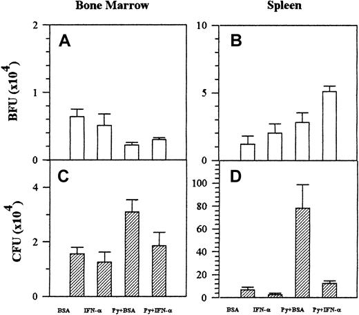 Fig. 3. Effect of rhIFN-α on BFU-E and CFU-E colonies. / The effect of rhIFN-α on the number of BFU-E (panels A, B) and CFU-E (panels C, D) in the bone marrow (panels A, C) and spleen (panels B, D) of C57BL/6 mice, 14 days after inoculation with P yoelii 265 BY. Control and IFN-α–treated mice, infected or uninfected, were injected IP daily with 0.1% BSA (vehicle) or rhIFN-α (5 × 104 U). CFU-E colonies were scored on day 3 and BFU-E colonies on day 8 after plating. Bone marrow CFU-E and BFU-E are expressed as the number of colonies per femur. Results are presented as mean numbers of colonies ± SE for duplicate cultures from 2 to 4 mice.