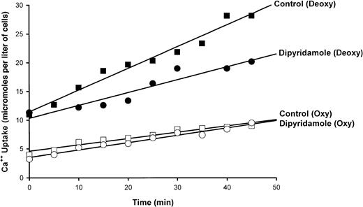 Fig. 3. Effect of dipyridamole on 45Ca++uptake in oxygenated and deoxygenated SS RBCs. / Cells were incubated at 10% hematocrit and exposed to humidified air or N2 as indicated. After 20 minutes,45Ca++ was added and samples were taken at indicated times. The slopes of the lines obtained by least squares analysis represent flux rates. A single experiment is depicted, representative of 10 such experiments.
