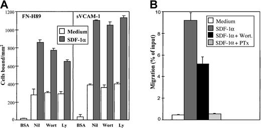 Fig. 5. Effect of inhibitors of phosphatidylinositol 3-kinase on SDF-1α–up-regulated VLA-4–dependent myeloma cell adhesion and chemotaxis. / (A) BCECF-AM–labeled NCI-H929 cells were treated for 30 minutes in adhesion medium without (Nil) or with wortmannin (Wort) (0.2 μM) or Ly294002 (Ly) (20 μM). After cell treatment with the inhibitors, SDF-1α (100 ng/mL, 1 minute) was added, and cells were allowed to adhere to FN-H89– or sVCAM-1–coated wells for 2 minutes. Adhesions were quantified in a fluorescence analyzer. Each panel shows data representing the mean ± SD of triplicate samples from one representative result of at least 4 separate experiments. (B) Comparison of the effects of wortmannin and pertussis toxin on the chemotaxis of myeloma NCI-H929 cells in response to SDF-1α. Cells were preincubated with or without the inhibitors and allowed to migrate for 3 hours at 37°C to an SDF-1α (100 ng/mL)-containing lower chamber. Data represent the mean ± SD of duplicate samples from a representative result of 3 separate experiments.