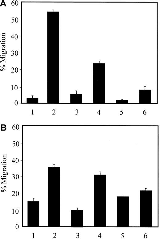 Fig. 6. Chemotactic activity of culture supernatants from Tat-treated HMVEC-Ls. / Migration of the THP-1 cells (A) and CD14+ monocytes (B) was determined as described in “Materials and methods.” The chemoattractants placed onto the upper/bottom chambers were as follows: (1) EBM-2/EBM-2; (2) EBM-2/MCP-1; (3) EBM-2/untreated culture supernatant; (4) EBM-2/Tat-treated culture supernatant; (5) MCP-1/Tat-treated culture supernatant; and (6) Tat-treated culture supernatant/Tat-treated culture supernatant.