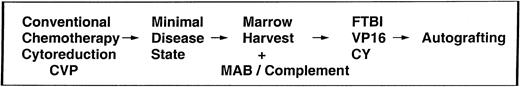 Fig. 1. Schema for conventional therapy cytoreduction and autologous bone marrow transplantation.