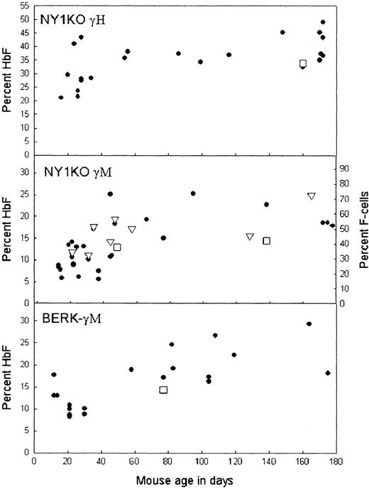 Fig. 4. Percentage γ versus mouse age for 3 different types of mice. / Filled circles, percentage γ/all β-like chains by HPLC; triangles, percentage F-cells by FACS; squares, percentage γ by chain synthesis. Mice older than 180 days are plotted as 172 to 178 days; in this range, there was no correlation between percent HbF and age. Note that γ increases with age in all mice, but that the percentage γ/all β-like chains as measured by chain synthesis for NY1KO γM does not increase with age. The most dramatic changes in percentage γ occurred in mice with F-cells (both lines of mice expressing γM; bottom 2 panels). The largest difference between γ as measured by chain synthesis and by HPLC in peripheral blood was found in mice with F-cells. The increase in percentage γ in whole blood over percentage γ as measured by chain synthesis is due to increased survival of F-cells.