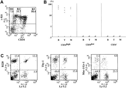 Fig. 4. Second transplantation of donor-derived HSC in first recipients (4 weeks). / (A) Expression of c-Kit and CD34 on Ly-5.2+Lin− BM cells of the first recipient mice (Ly-5.1) engrafted with 1 × 103 neonatal Lin−c-Kit+CD34high BM cells (Ly-5.2) 4 weeks after transplantation. Lin−c-Kit+ cells were fractionated into CD34− (R1), CD34low (R2), and CD34high (R3) cells on the basis of CD34 expression. The averages of the proportions of the 3 fractions in Lin−c-Kit+ cells (n = 3) are shown in each window. (B) The percentages of Ly-5.2+ cells in B220+ cells (B), Thy-1+ cells (T), and Gr-1/Mac-1+ cells (M) in Ly-5.1 second recipient PB 8 to 10 weeks after the second transplantation. The second recipients were transplanted with CD34− (R1), CD34low (R2), and CD34high (R3) cells (2 × 103 cells for each) in BM of the first recipients (Ly-5.1). (C) A representative PB profile of a second recipient (Ly-5.1) engrafted with 1 × 103Lin−c-Kit+CD34high cells (R3) sorted from the first recipient. Ly-5.2+ cells were present in all B220+ cells, Thy-1+ cells, and Gr-1/Mac-1+ cells in the PB.
