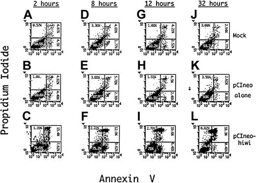 Fig. 9. Induction of apoptosis in KG1 cells overexpressing thehiwi gene. / KG1 cells were transfected under mock, pCIneo empty vector, or pCIneo-hiwi conditions. Cells were harvested at 2, 8, 12, and 32 hours, washed with PBS, and resuspended in binding buffer containing Annexin V–FITC and PI. The X-axis represents log fluorescence intensity for Annexin V staining; the Y-axis represents log fluorescence intensity for PI staining. Panels A-C show flow cytometric analysis at a 2-hour time point that consists of a mock, a pCIneo empty vector, and the pCIneo-hiwi transfected KG1 cell populations. Panels D-F, G-I, and J-L show the same analysis but at 8,12, and 32 hours (respectively) after transfection.