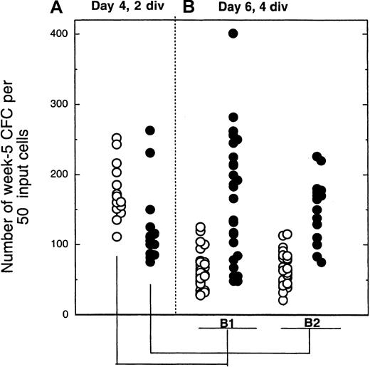 Fig. 5. Number of colony-forming cells produced by cells sorted on day 4 after 2 divisions and exposed for another 2 days to cytokines ± MS5 cells. / The 2-step procedure is depicted in Figure 1. In panel A, 2-division cells from 4-day cultures with (closed symbols) or without (open symbols) MS5 cells were plated in LTC (50 cells/well). Each point from panel B indicates the number of CFCs produced by 50 cells that had completed a total of 4 divisions by day 6 and originated from the initially slowly dividing population (2 divisions by day 4). Panel B1 corresponds to cells cultured for 4 days without MS5 and then from day 4 to day 6 with (closed symbols) or without (open symbols) MS5 cells. Panel B2 corresponds to cells cultured for the first 4 days with MS5 cells. All cultures contained the same cytokines. Comparison of the number of CFCs generated by 4-division cells with or without MS5 yielded highly significant differences (*P < .01)