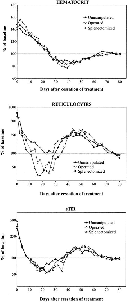 Fig. 2. Erythroid parameters after cessation of erythropoietin therapy. / Evolution of erythroid parameters in unmanipulated (closed symbols, continuous line), sham-operated (open symbols, broken line), or splenectomized (open symbols, continuous line) iron-overloaded rats after cessation of treatment with 150 U rHuEpo per day for 20 days. Results are expressed as percentages of the mean value obtained between days 70 and 80.