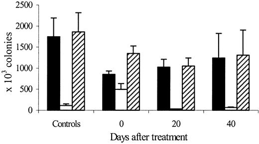Fig. 6. Erythroid colonies after cessation of erythropoietin therapy. / Evolution of marrow (black bars), spleen (white bars), and total body (hatched bars) erythroid lineage (CFU-E plus BFU-E) colonies 0, 20, and 40 days after cessation of treatment with high doses of rHuEpo, compared to control untreated animals.