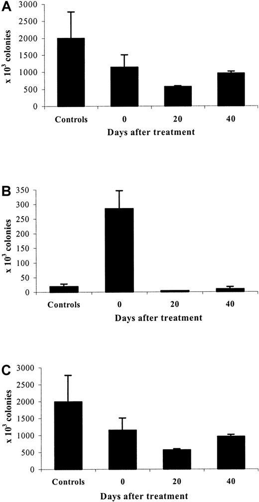 Fig. 7. CFU-GM after cessation of erythropoietin therapy. / Evolution of marrow (A), spleen (B), and total body (C) CFU-GM 0, 20, and 40 days after cessation of treatment with high doses of rHuEpo, compared to control untreated animals.