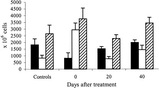 Fig. 8. Marrow and spleen cellularity after cessation of erythropoietin therapy. / Evolution of marrow (black bars), spleen (white bars), and marrow plus spleen (hatched bars) cellularity 0, 20, and 40 days after cessation of treatment with high doses of rHuEpo, compared to control untreated animals.