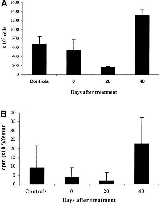 Fig. 9. Erythroid precursors after cessation of erythropoietin therapy. / Marrow cells were obtained 0, 20, and 40 days after cessation of treatment with high doses of rHuEpo as well as from control untreated animals. (A) Erythroid cellularity. (B) 59Fe incorporation into heme of erythroid precursors cultured for 24 hours in serum-free medium without erythropoietin.